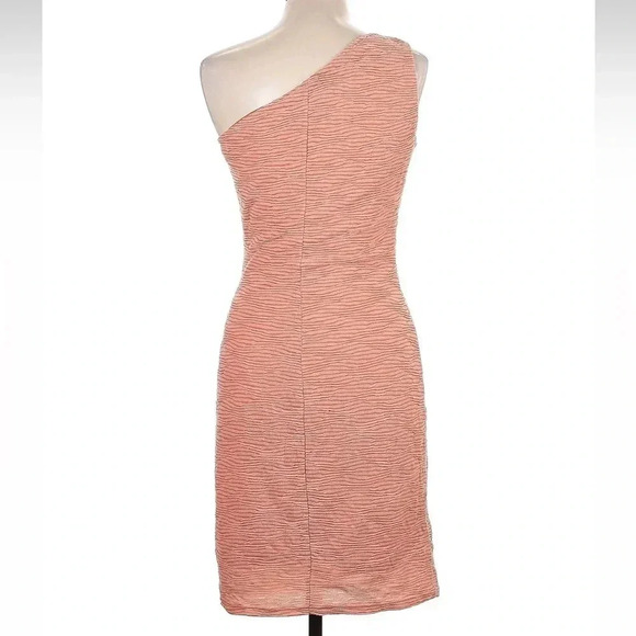 Walter Baker Peach One-shoulder Ribbed Knit Sheath Dress Women’s Size Large L - Picture 3 of 7